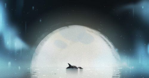 TahlequahTheWhale_Moon